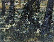 Vincent Van Gogh Undergrowth USA oil painting artist